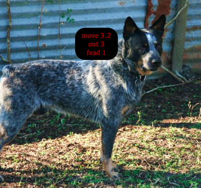 screen-shot-2017-02-13-at-8-55-59-pm