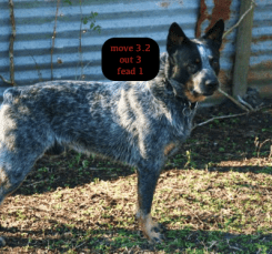 screen-shot-2017-02-13-at-8-55-59-pm