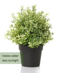 screen-shot-2017-02-14-at-4-07-56-pm