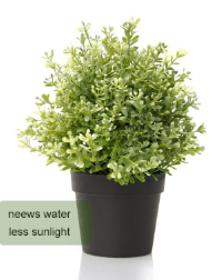 screen-shot-2017-02-14-at-4-07-56-pm