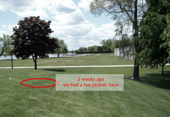 Screen Shot 2017-02-14 at 8.50.27 PM.png